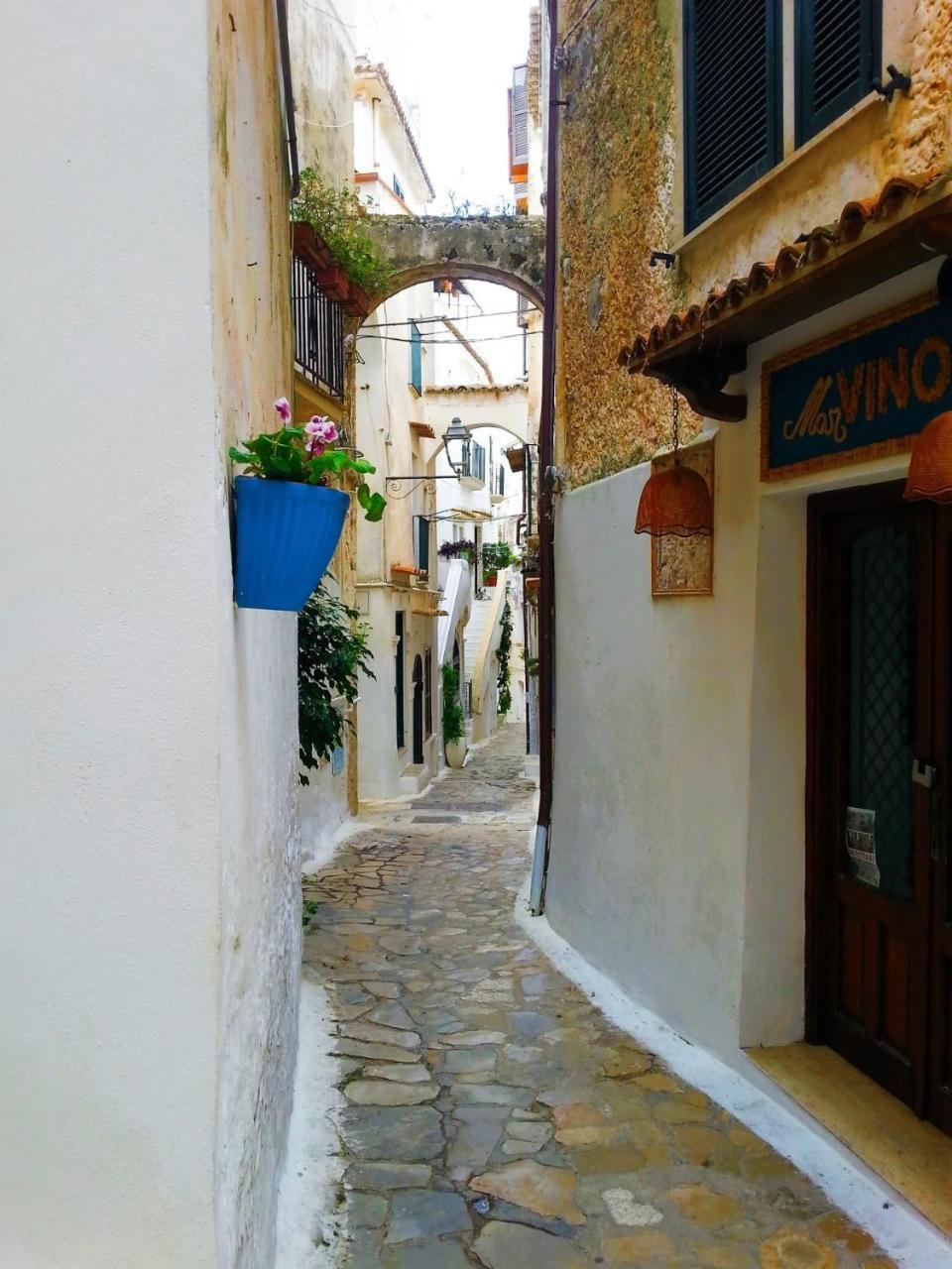 Casa Ninfa Sperlongaresort Exterior photo
